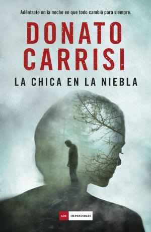 Cover of the book La chica en la niebla by Marco Vichi