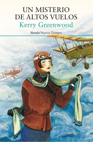 Book cover of Un misterio de altos vuelos