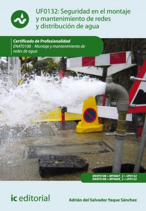 Cover of Seguridad en el montaje y mantenimiento de redes y distribución de agua y saneamiento