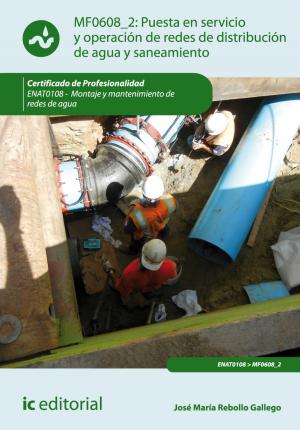 Cover of the book Puesta en servicio y operación de redes de distribución de agua y saneamiento by Sandra Badillo Cano