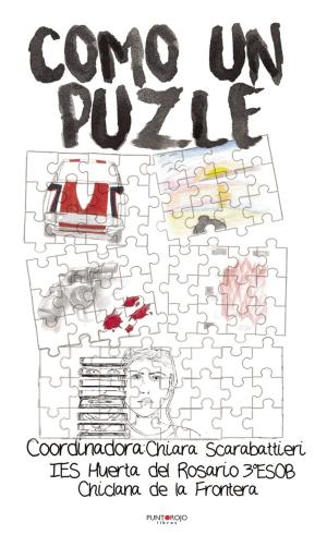 Cover of the book Como Un Puzle by Frutos María Martínez