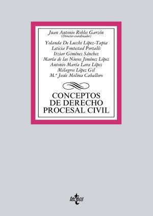 Book cover of Conceptos de Derecho procesal civil