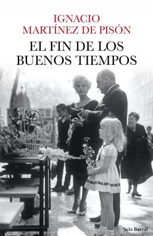 Cover of the book El fin de los buenos tiempos by Noe Casado