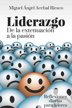 Cover of the book Liderazgo. De la extenuación a la pasión by David Huston