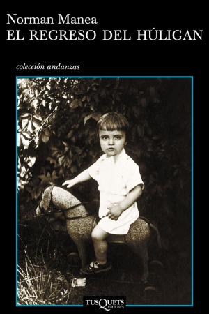 Cover of the book El regreso del húligan by Merche Diolch