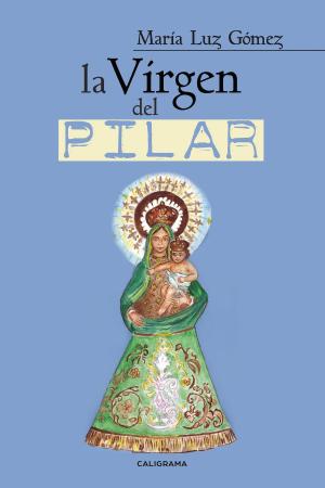 Cover of the book La Virgen del Pilar by Carmen Domingo