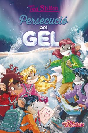 Book cover of Persecució pel gel