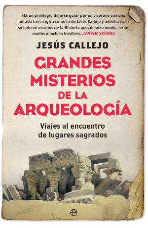 Cover of the book Grandes misterios de la arqueología by Félix Torán