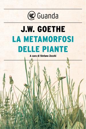 Cover of the book La metamorfosi delle piante by Adonis