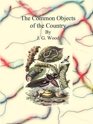 Book cover of The Common Objects of the Country