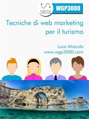 Cover of Tecniche di Web Marketing per il Turismo