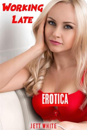 Cover of the book Erotica: Working Late by R. M. Vance