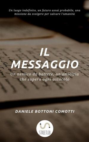 Cover of the book Il Messaggio by Lulu Wang
