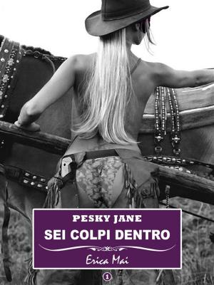Book cover of Pesky Jane Sei colpi dentro: Vol. 1