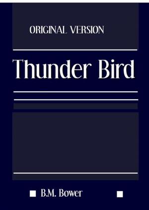 Cover of the book The Thunder Bird by Washington Irving