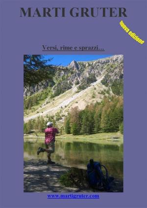 Book cover of Versi, rime e sprazzi...