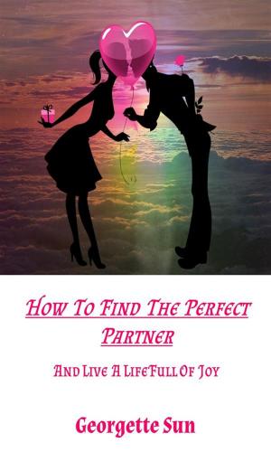 Cover of the book How To Find The Perfect Partner by Mokokoma Mokhonoana