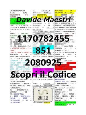 Cover of 1170782455 – 851 – 2080925 / Scopri il Codice (Tradotto)