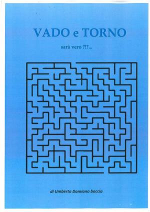 bigCover of the book VADO e TORNO sarà vero?!?... by 
