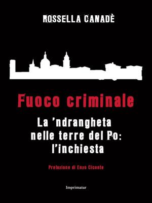 Cover of the book Fuoco criminale by Emiliano Liuzzi