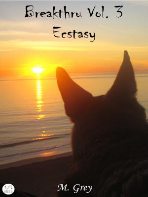 Cover of Ecstasy