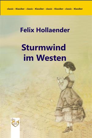 Book cover of Sturmwind im Westen