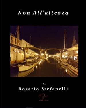 Book cover of Non All'altezza