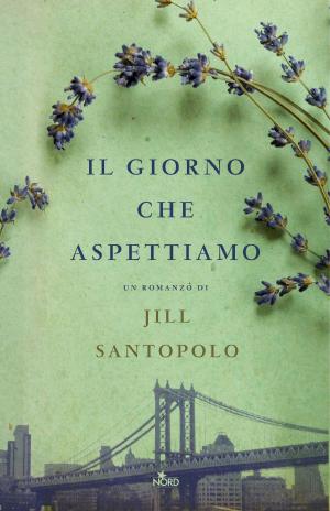 Cover of the book Il giorno che aspettiamo by Sarah Lotz