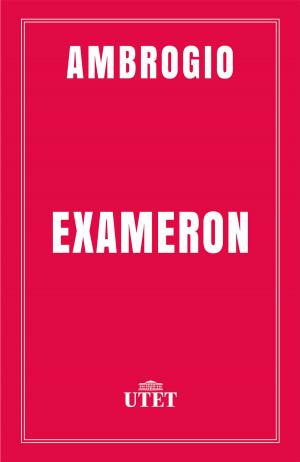 Cover of the book Exameron by Felix Martin