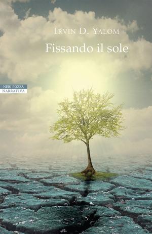 Cover of the book Fissando il sole by Luca Romano