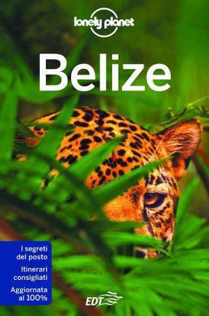 Cover of the book Belize by Rebecca Milner, Simon Richmond