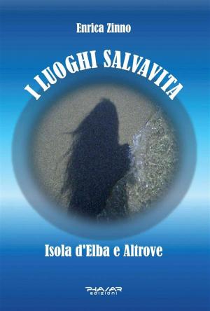 Cover of the book I luoghi salvavita by Raffaele Cammarota