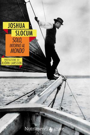 Cover of the book Solo, intorno al mondo by Harry Thompson