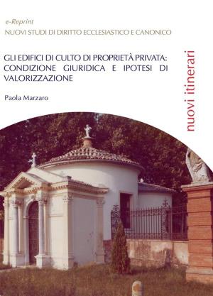 Cover of the book Gli edifici di culto di proprietà privata: condizione giuridica e ipotesi di valorizzazione by Fabiano Di Prima