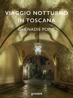 Cover of the book Viaggio notturno in Toscana by Gaia Chiuchiù