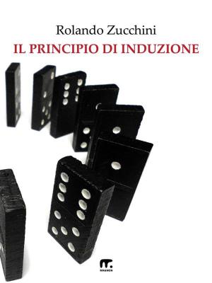 Book cover of Il principio di induzione
