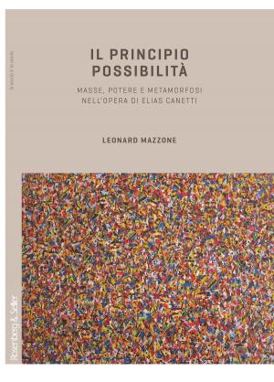 Cover of the book Il principio possibilità by Philippe Forest
