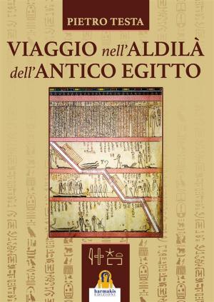 Cover of Viaggio nell'aldilà dell'Antico Egitto