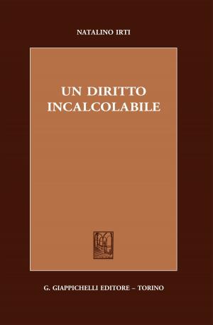 Cover of the book Un diritto incalcolabile by Martina Sinisi