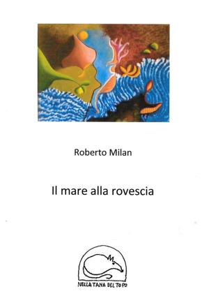 Cover of the book Il mare alla rovescia by Adam Graham