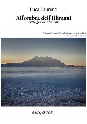 Cover of the book All'ombra dell'Illimani by Ashley R Parent