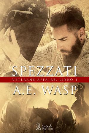 Cover of the book Spezzati i by Alicia Dawn, Nikita Jakz