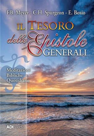 Book cover of Il Tesoro delle Epistole Generali
