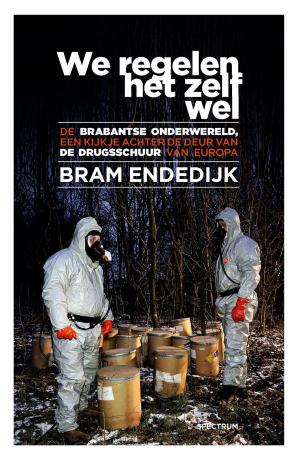 Cover of the book We regelen het zelf wel by Bies van Ede