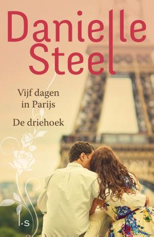 Cover of the book Vijf dagen in Parijs, De driehoek by Danielle Steel