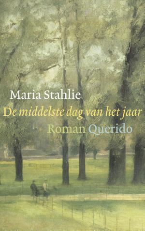 Cover of the book De middelste dag van het jaar by Guus Kuijer