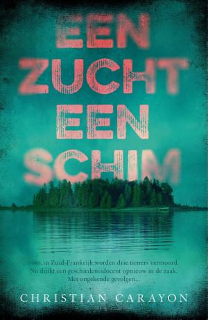 Cover of the book Een zucht, een schim by Erec Stebbins