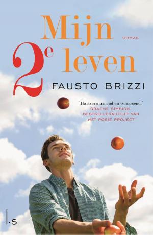 Cover of the book Mijn 2e leven by Elizabeth Hand