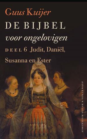 Cover of the book De Bijbel voor ongelovigen by Daniel Kehlmann