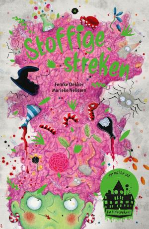 Cover of the book Stoffige streken by Rian Visser